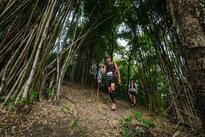 BIB: 
                            <button type="button" onclick="openModal(19395896)" class="btn btn-primary btn-sm float-right btn-popup" data-toggle="modal" data-target=".modal-high-quality">
                        <i class="fas fa-shopping-cart"></i> Add to Cart
                    </button>
                                            <button type="button" onclick="isThisMe(19395896, true)" class="btn btn-success btn-sm float-right btn-popup btn-isme hidden" data-toggle="tooltip" data-placement="bottom" title="นี่คือรูปของคุณใช่ไหม คลิกที่นี่เพื่อเอาเข้าอัลบั้ม">
                        <i class="fas fa-plus"></i> Add to album
                    </button>
                    <button type="button" onclick="isThisMe(19395896, false)" class="btn btn-warning btn-sm float-right btn-popup btn-isnotme hidden">
                        <i class="fas fa-ban"></i> Remove from album
                    </button>